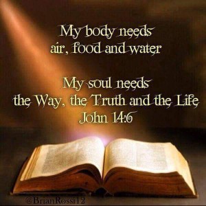body vs soul needs